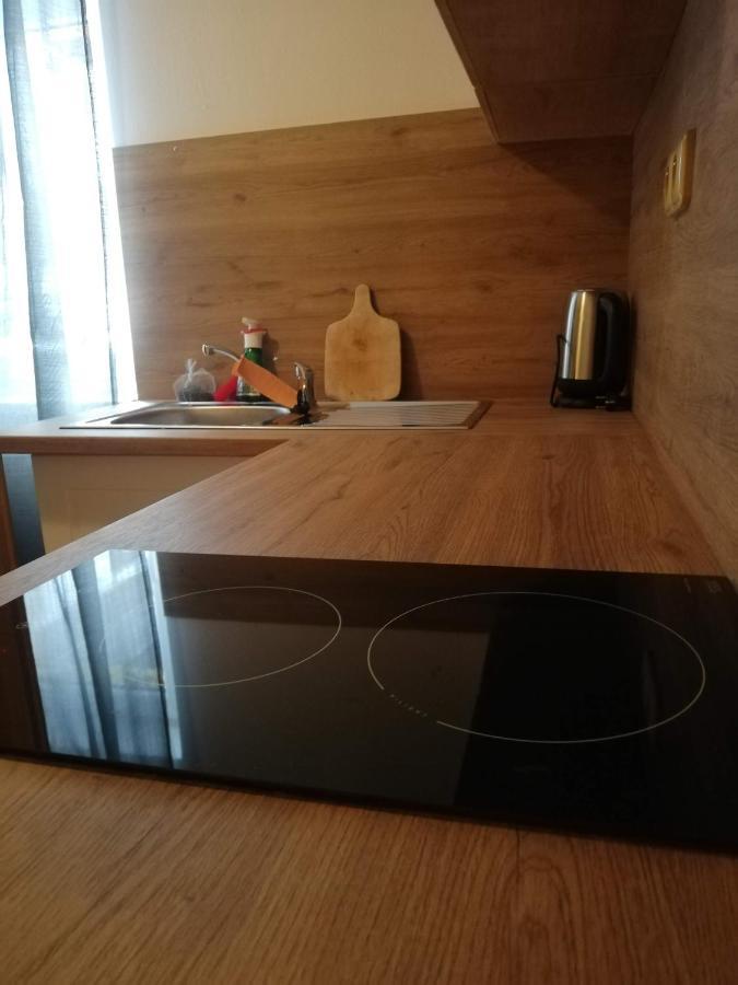 Penzion Pod Svahem Zelezna Ruda Bagian luar foto